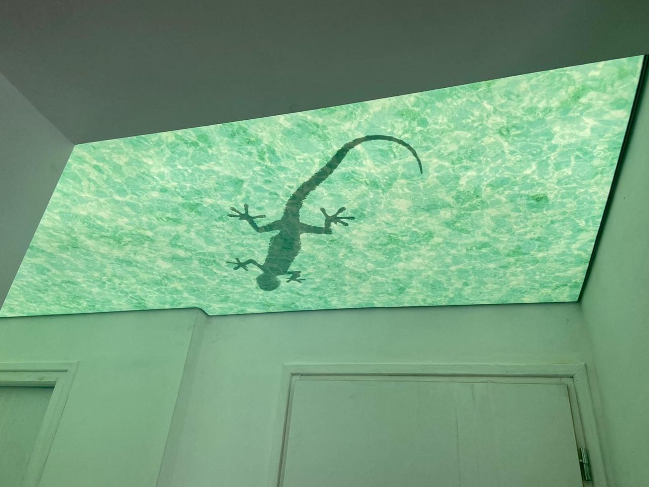 with sparkling finish, Ceiling upgrade solutions Miami, Stretch ceiling ideas for offices,